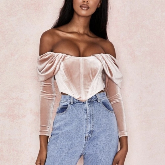 HOUSE OF CB Holly Top Blush Pink Velevet Long Sleeve Corset S Small - Picture 1 of 11